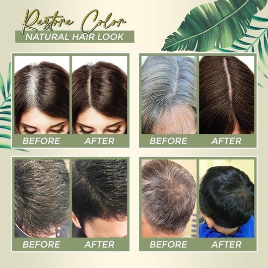 Argan Speedy Hair Color Shampoo - CONDITIONER AND REPAIR ( Dark Black )