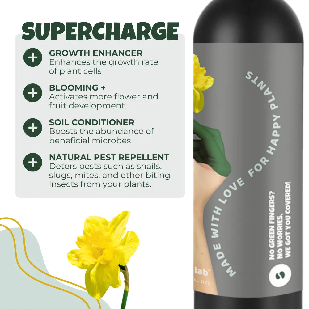 Plant Boost Growth Supercharger Spray ( BUY 1 GET 1 FREE )