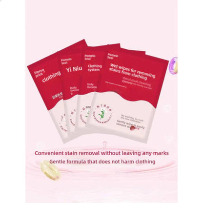 Pack Of 30 Clothing Stain Remover Wipes